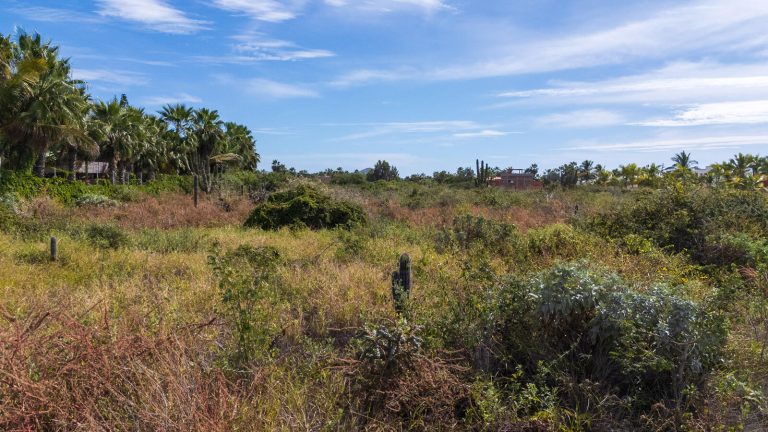 San Pedrito Dream Acres – photo 5