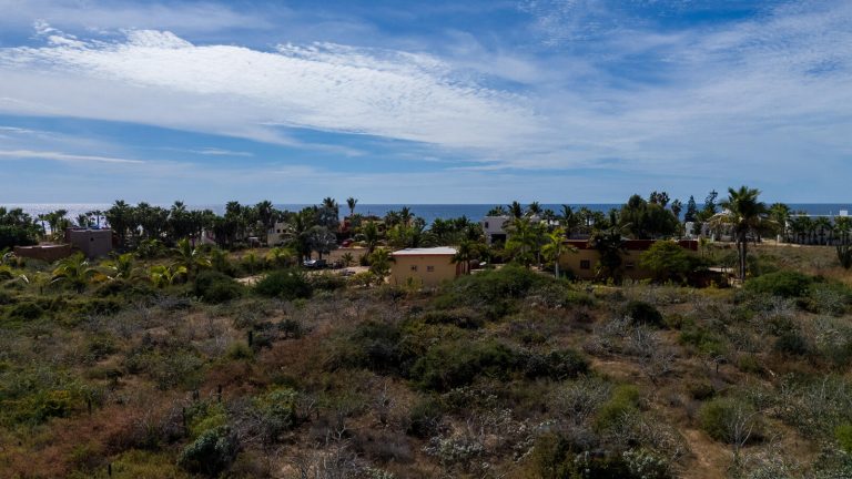 San Pedrito Dream Acres – photo 4