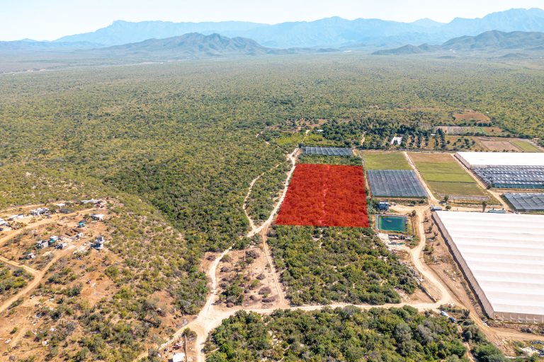 San Simon Lots – Land for sale in Pescadero, El Pescadero