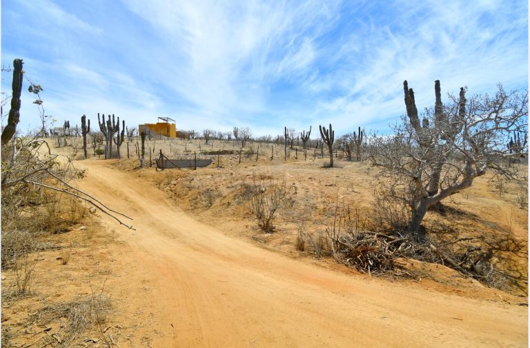 Sanctuary lot – photo 4