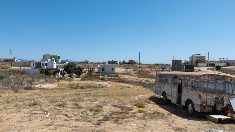 School Bus Lot – photo 3