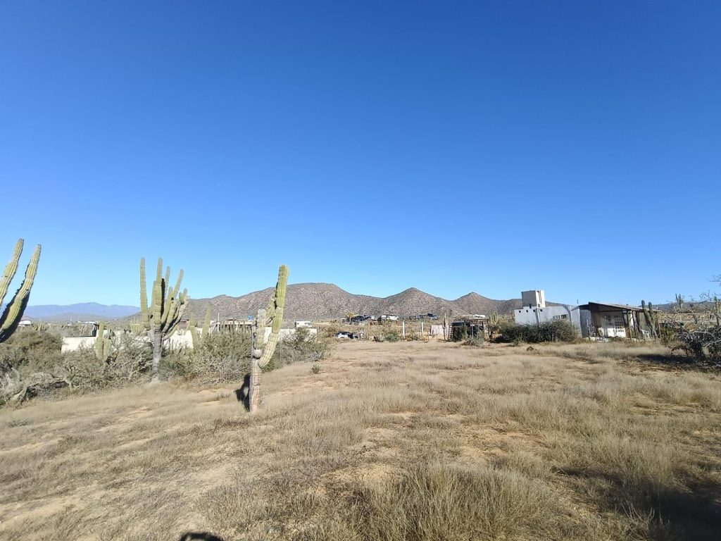 Snake lot – photo 1