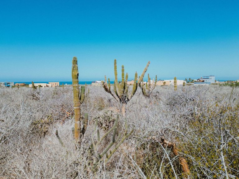 South Pescadero Coastal – photo 4