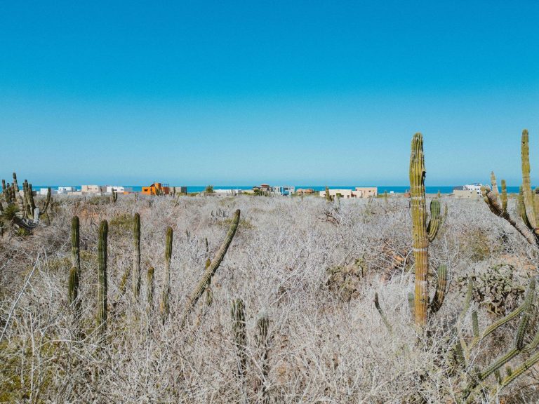 South Pescadero Coastal – photo 2