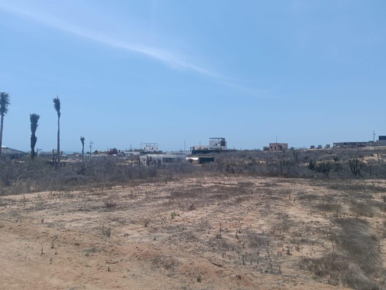 sunset lot – Land for sale in Ahorcadita, Todos Santos