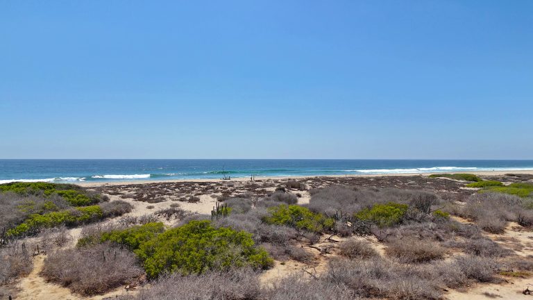 Surf In - Surf Out Lot A – photo 5