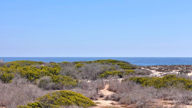 Surf In - Surf Out Lot B – photo 5