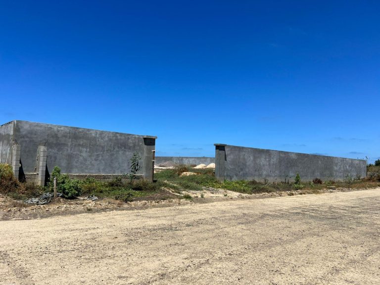 Tequila Ranch One – photo 2