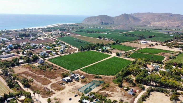 Terreno en Pescadero el palmar – photo 3
