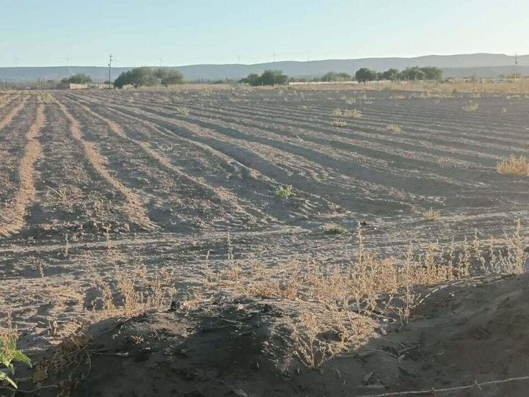 TERRENO EN VENTA – photo 2