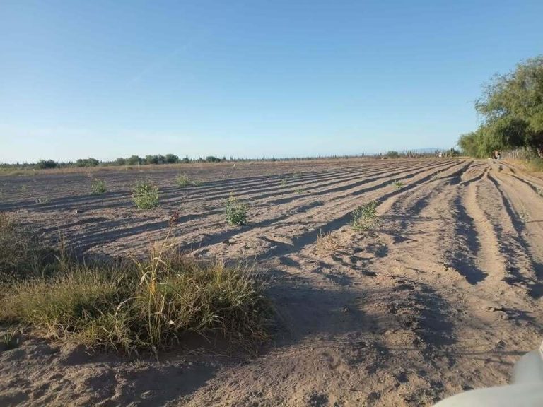 TERRENO EN VENTA – Land for sale in Conquista Agraria NCPE, North Pacific (La Pastora / Playas Pacíficas)