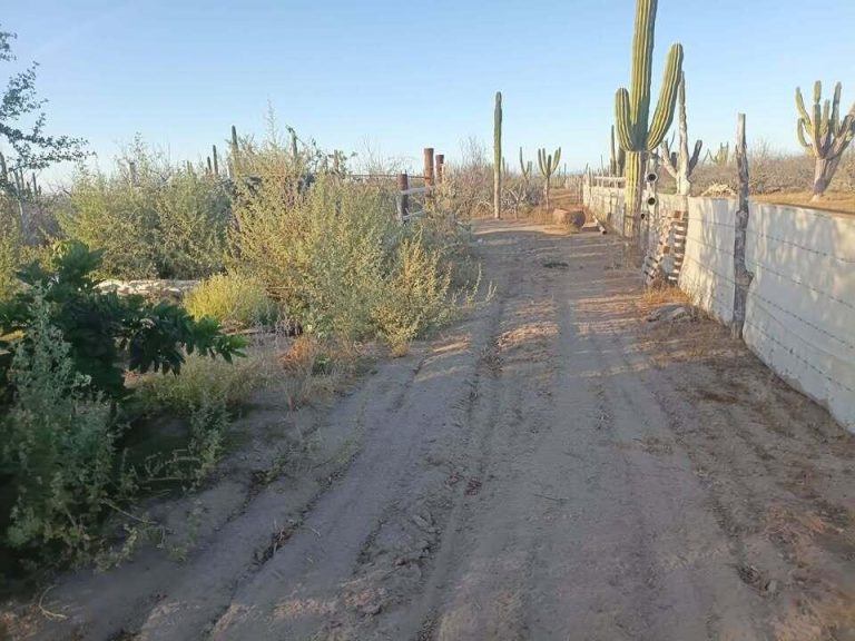 TERRENO EN VENTA – photo 4
