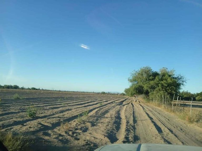 TERRENO EN VENTA – photo 3