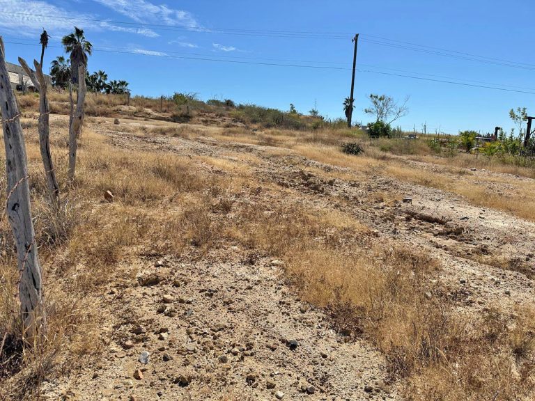 Terreno Las tunas – photo 4