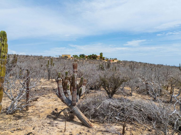 The Baja Acreage – photo 3