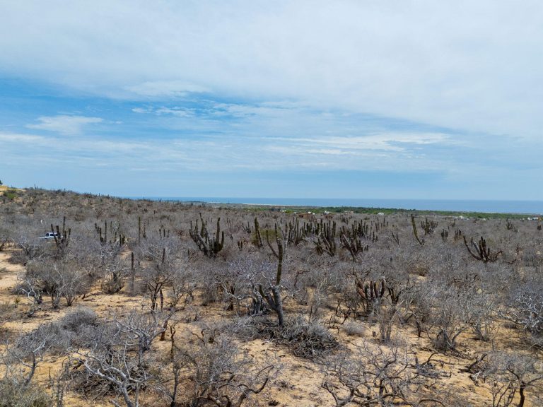 The Baja Acreage – photo 4