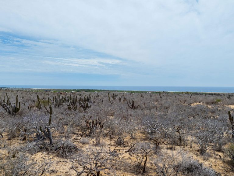 The Baja Acreage – photo 5