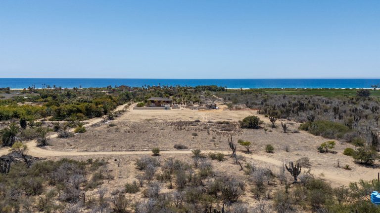 The Pastora Surf Lot 0409 – photo 2