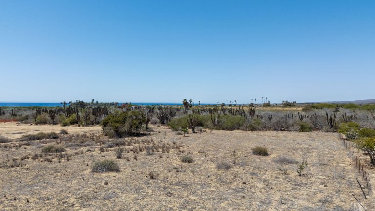 The Pastora Surf Lot 0409 – photo 4