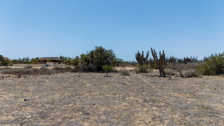 The Pastora Surf Lot 0510 – photo 5