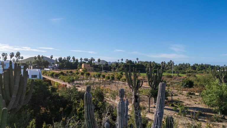 Tierra Dulce Double Lot – photo 5