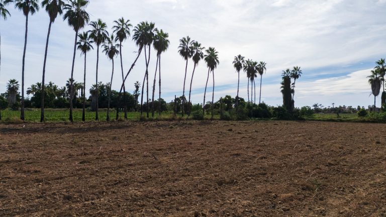 Tierra Linda Living – photo 4