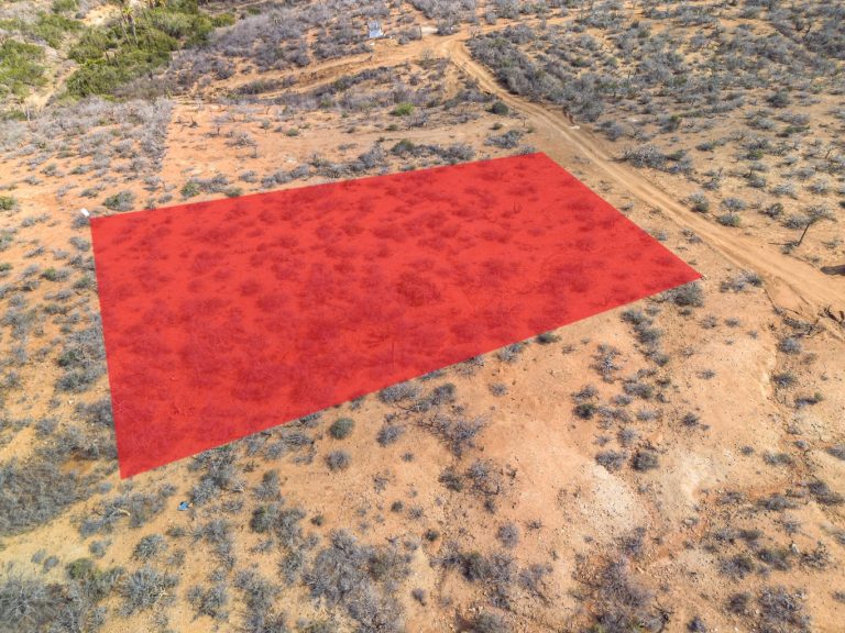 Tierra Roja L1277 – photo 2
