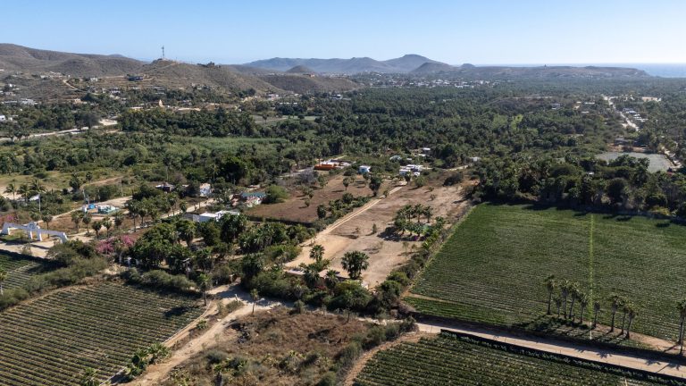 Todos Santos Valley Ranch – Land for sale in Centro-Todos Santos, Todos Santos