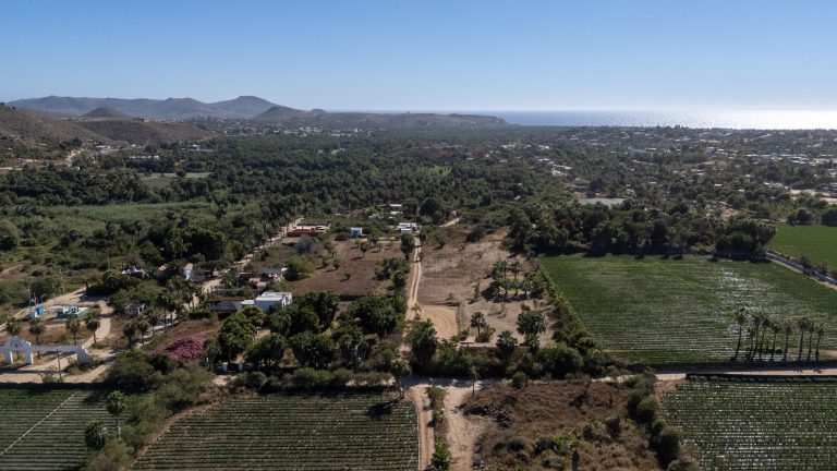 Todos Santos Valley Ranch – photo 3