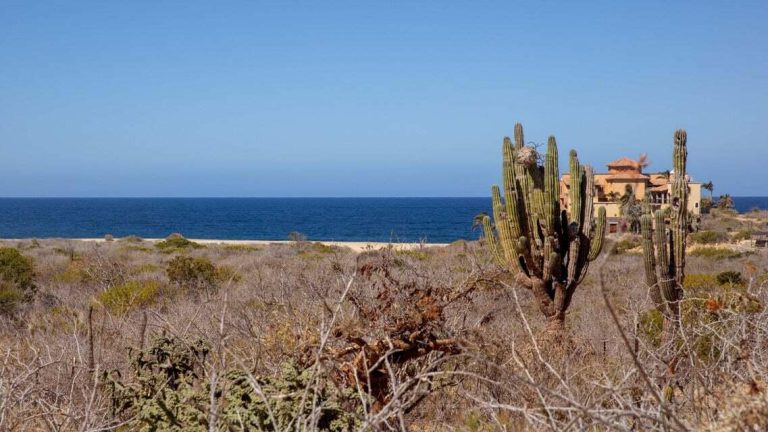 Unobstructed Ocean View Lot – photo 2