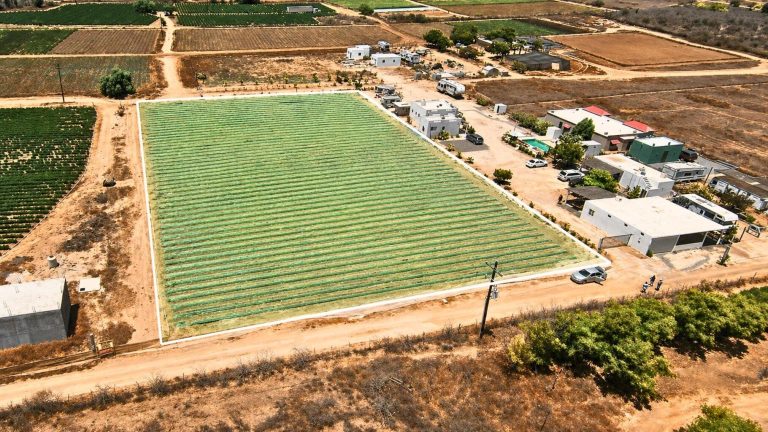 Veggie’s Land – photo 3