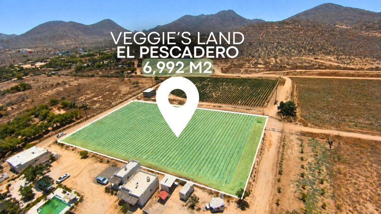 Veggie’s Land – Land for sale in Pescadero, El Pescadero