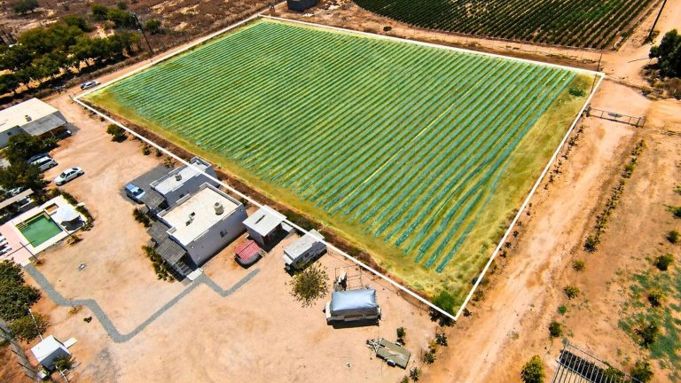 Veggie’s Land – photo 4