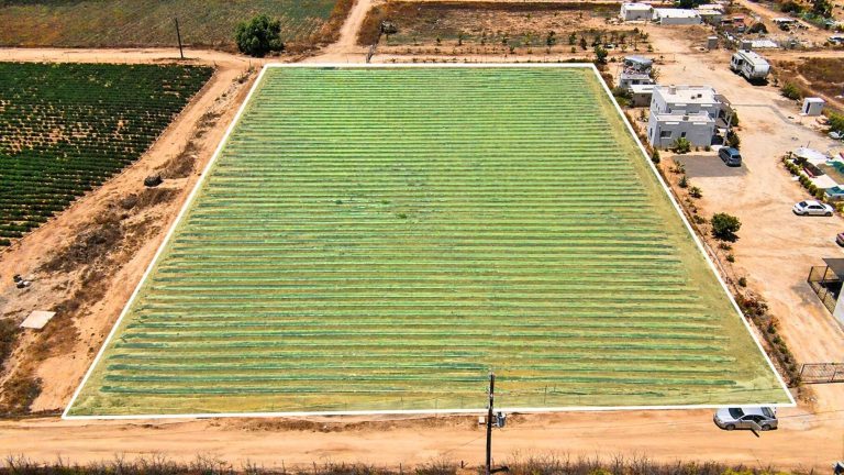 Veggie’s Land – photo 2