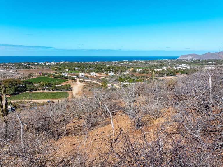 Vista Pacifica 585 – photo 2