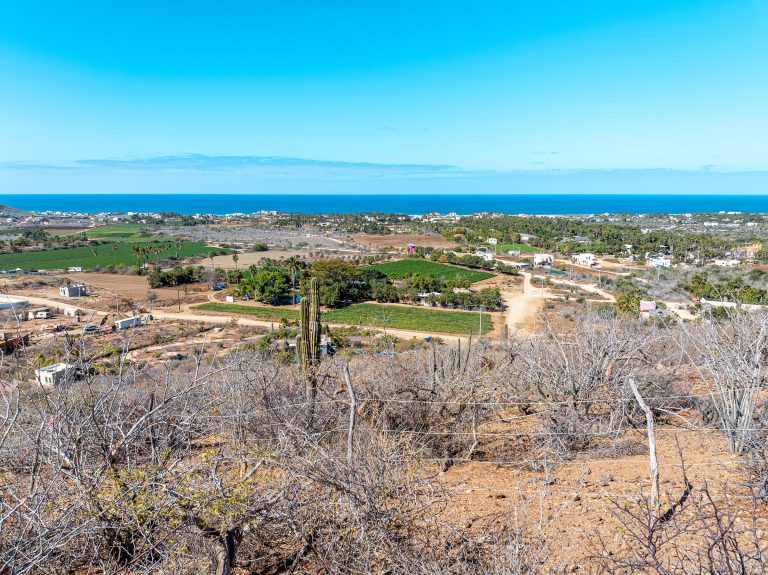 Vista Pacifica 585 – photo 3