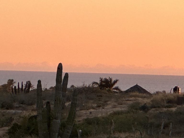 VUELO DEL AGUILA LOT – Land for sale in Todos Santos-General, Todos Santos