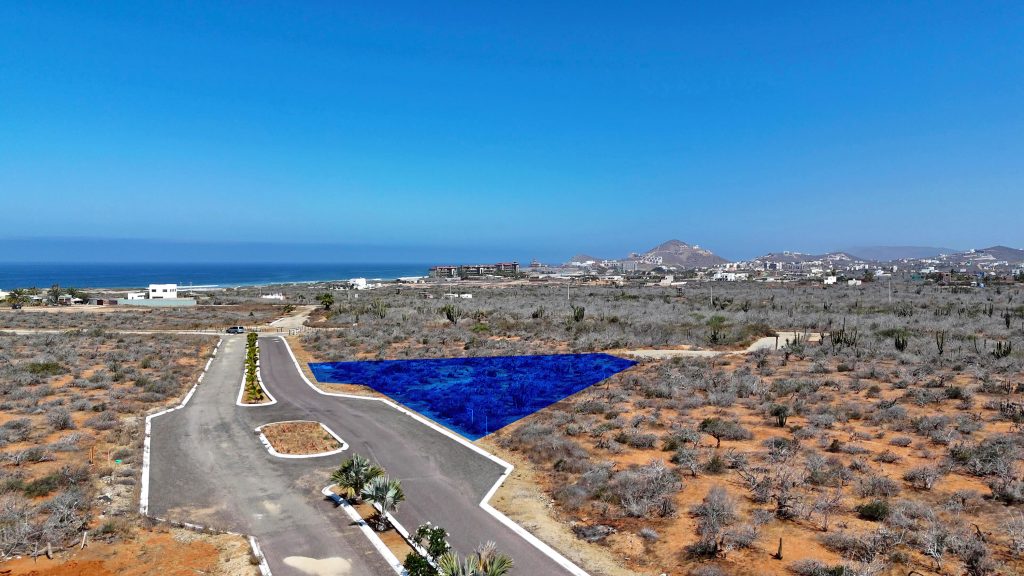 Walk to the Beach – photo 1