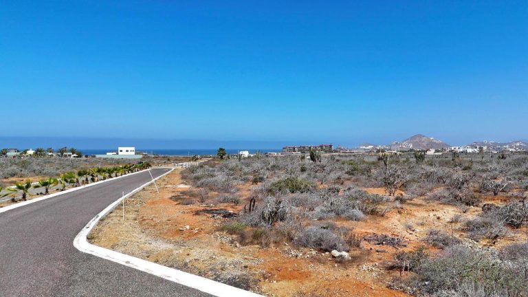 Walk to the Beach – photo 4