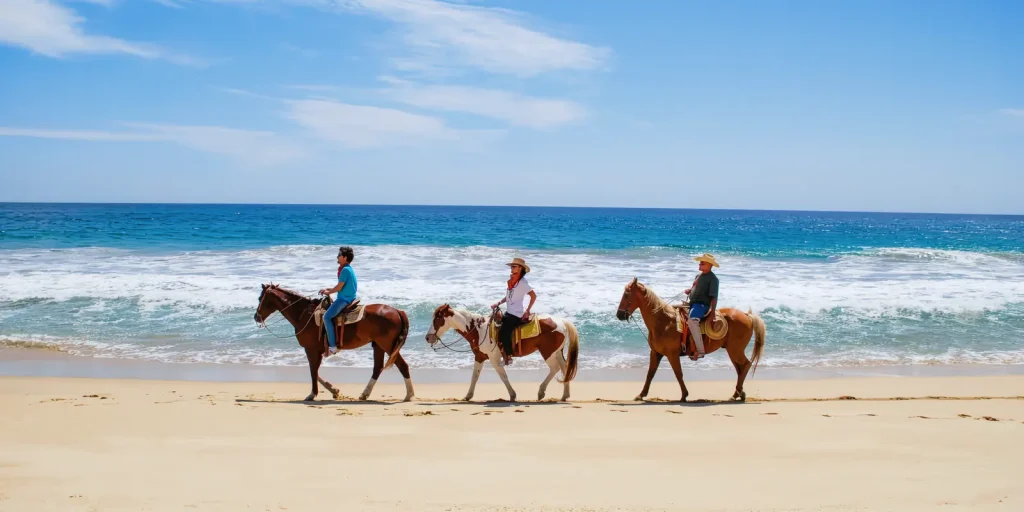 The beach at Todos Santos