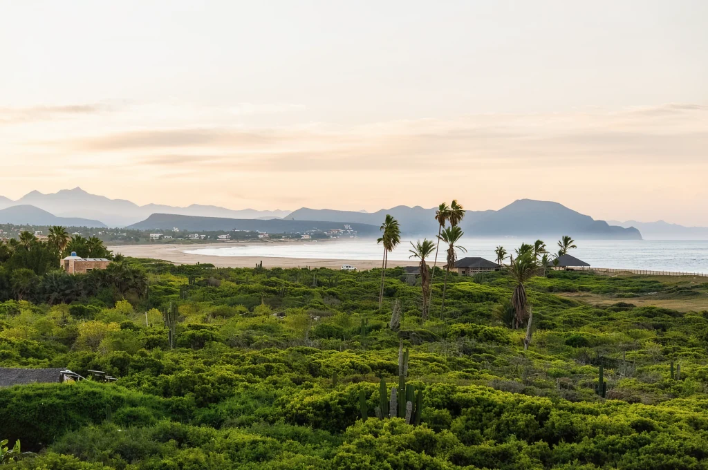 Farmland and coast at Los Cerritos