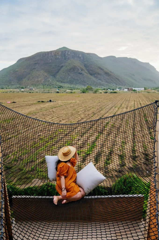 Star nets over the fields at Paradero, Todos Santos